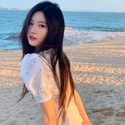 佛兰德斯的狗
